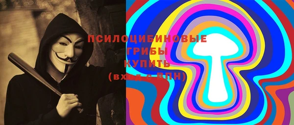 spice Медвежьегорск