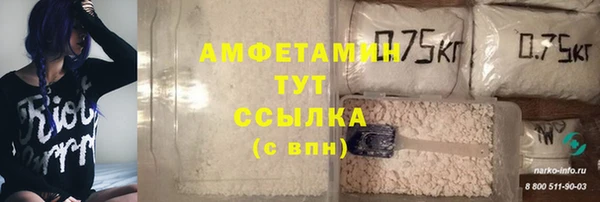 гашик Медногорск