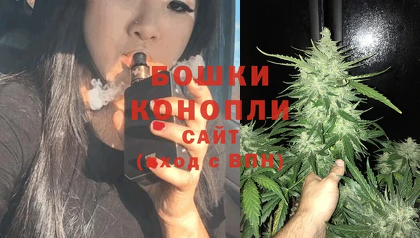гашик Медногорск