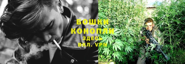 гашик Медногорск