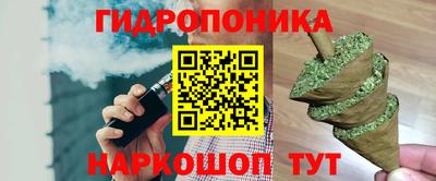 ECSTASY Будённовск