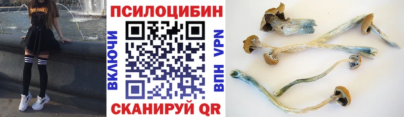 Псилоцибиновые грибы мухоморы  цена   Архангельск 